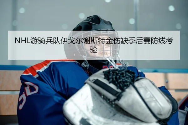NHL游骑兵队伊戈尔谢斯特金伤缺季后赛防线考验