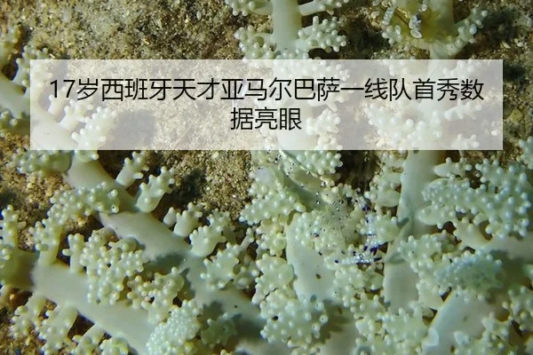 17岁西班牙天才亚马尔巴萨一线队首秀数据亮眼